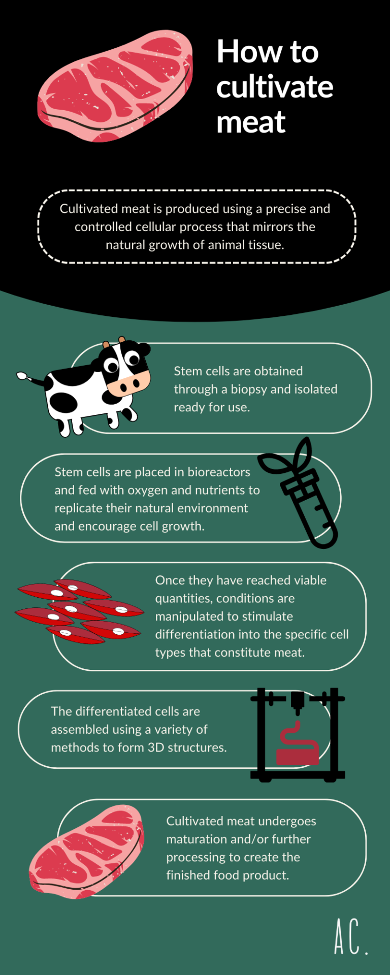 An infographic demonstrating the process of how to cultivate meat. There are 5 steps, each illustrated with drawings to portray the biopsy and isolation of stem cells, proliferation stage, differentiation stage, assembly using techniques such as bioprinting and maturation and manufacturing into final cultivated meat product